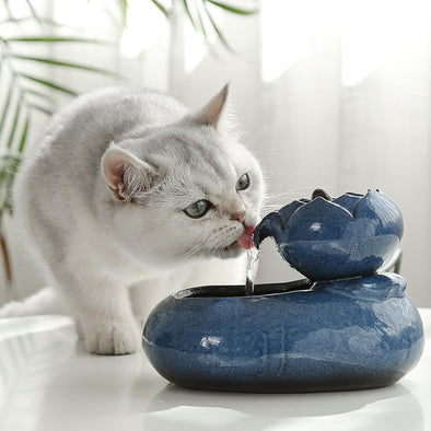 Cat Automatic Drinking Fountains Water Feeder